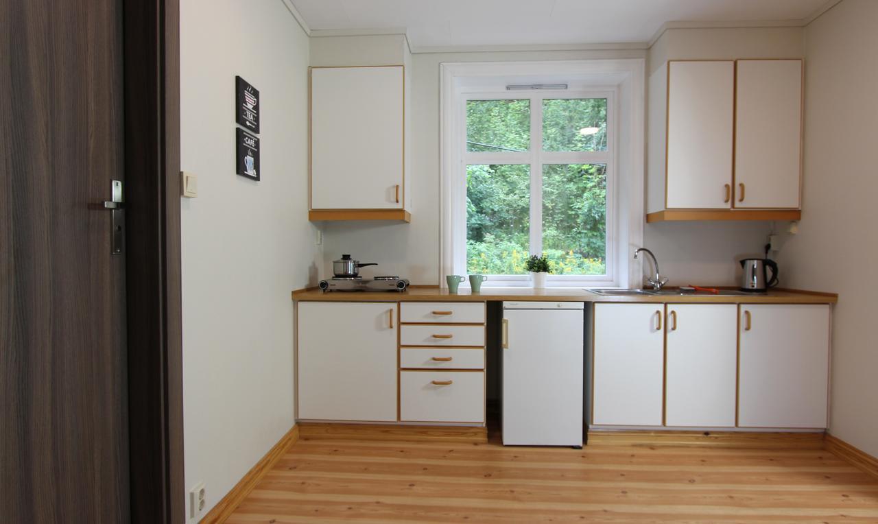 Slottet Apartments Tyssedal Ngoại thất bức ảnh